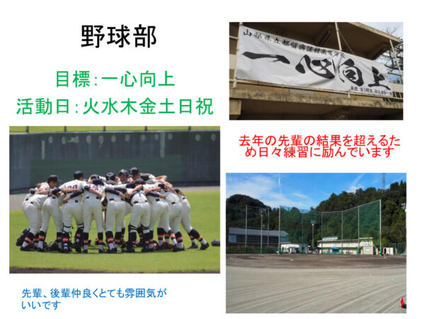 baseballのサムネイル